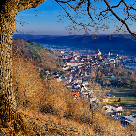 View on sunny Eichstätt from the top of a hill with a tree on the left side