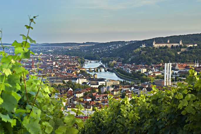 View from the vineyards onto Wuerzburg.