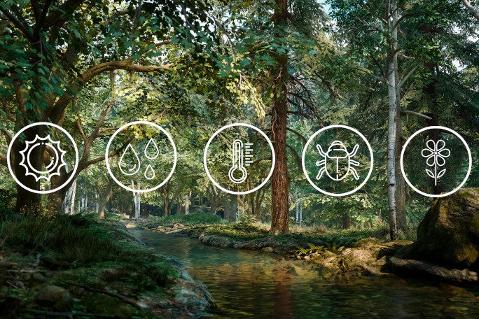 Biodiversity research illustrated by five icons: the sun, rain drops, a thermometer, a beetle and a flower. In the backround a river flowing through a wood. 