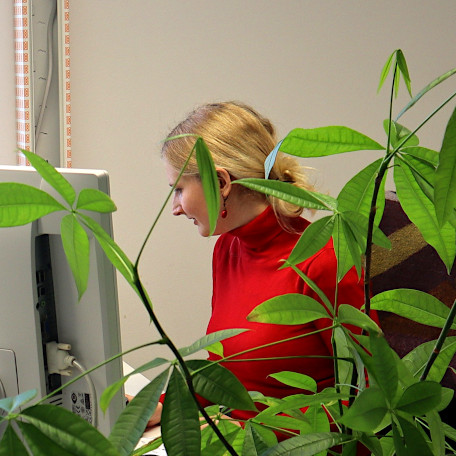 A researcher working on the computer behind a green plant.