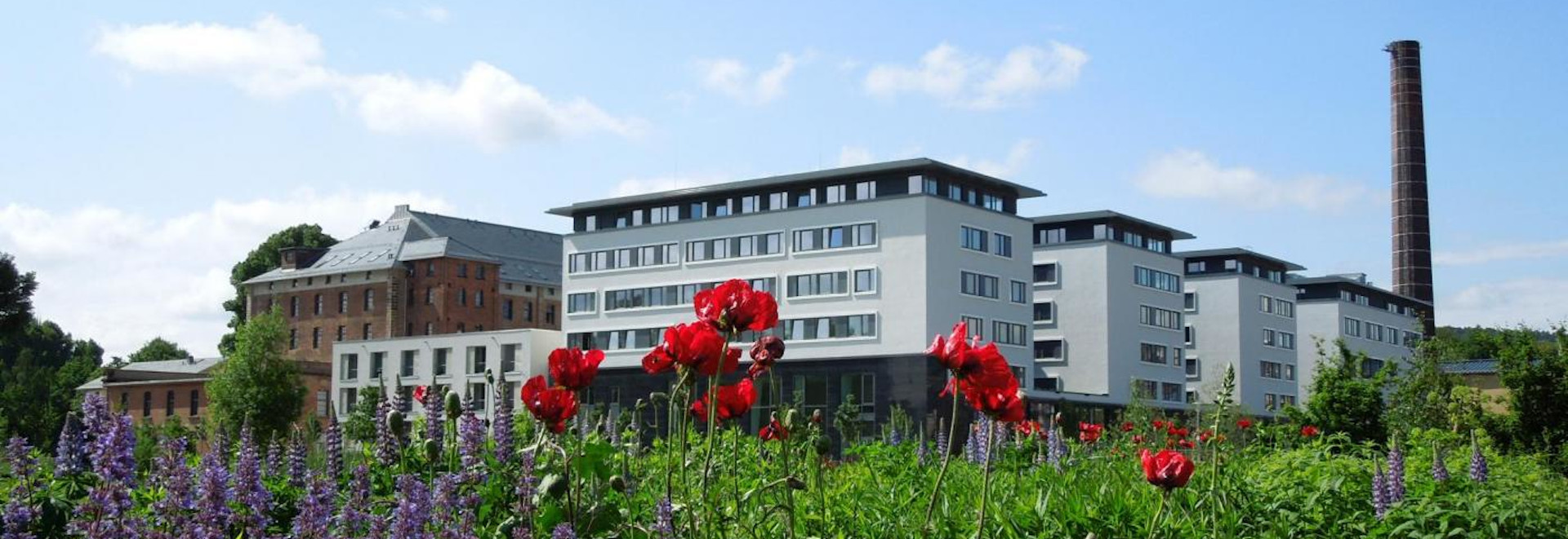 Meadow with poppy flowers, in the background a combination of historical and modern buildings. 