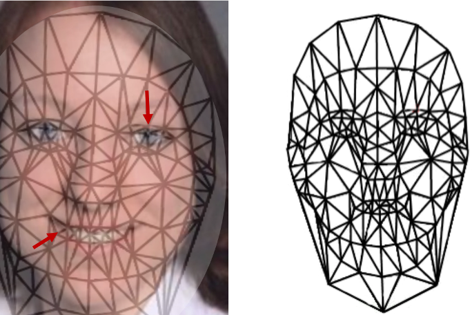 A human portrait overlain by a grid, two arrows point at the mouth and eyes. Next to it the same grid without portrait.