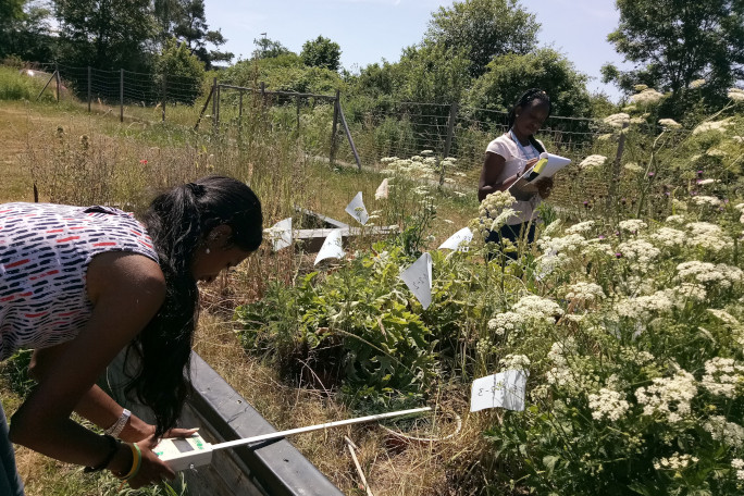 Students working outdoors in the fields