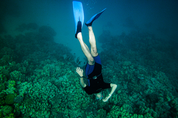 Fun paleobiology research: Professor Kießling diving towards a coral reef in the sea