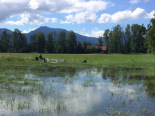 Peatland Research for Climate Protection