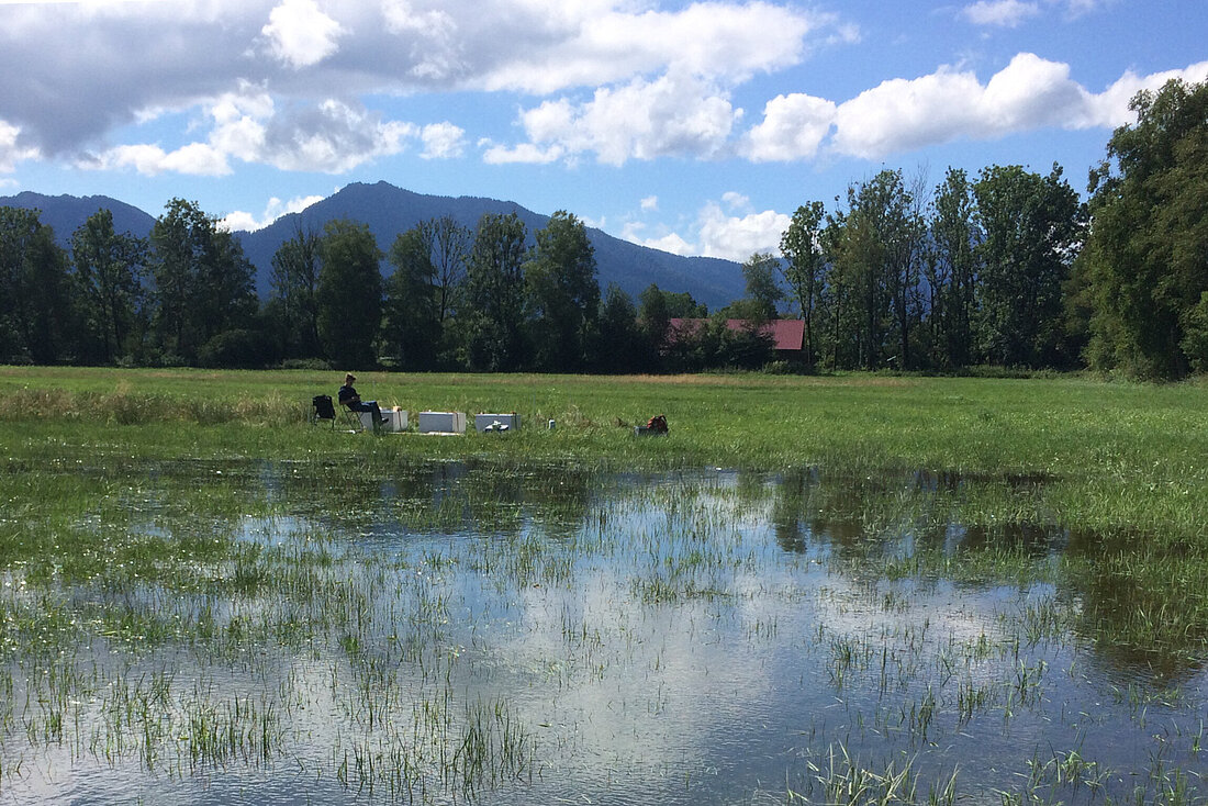 Peatland Research for Climate Protection