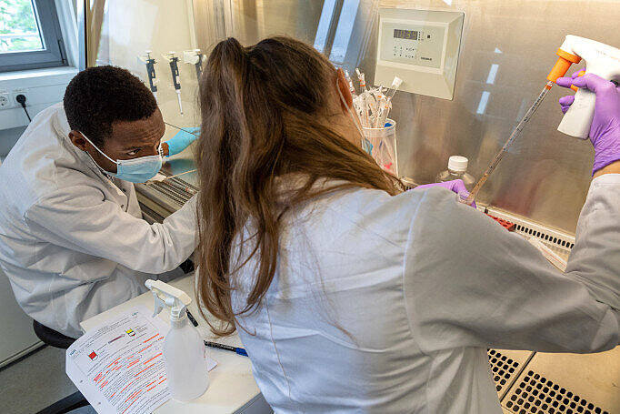 Two researchers working in the laboratory.