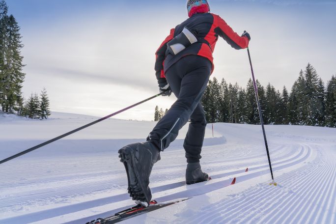 Person cross-country skiing in a snowy forest