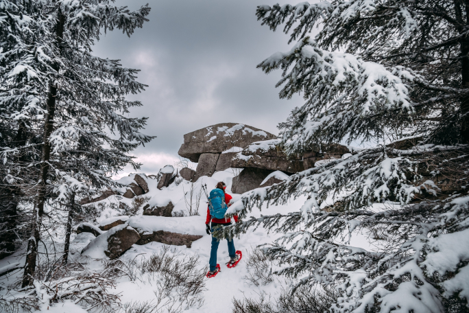 Person hiking in the snow in the forest with snow shoes