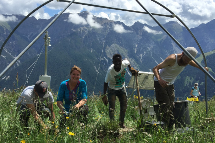 Students and professor working outdoors with scenic panorama of the Alps in the background.